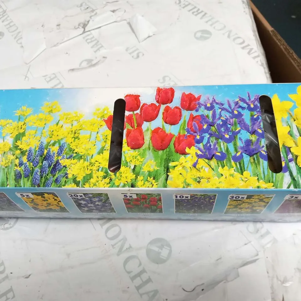 APPROXIMATELY 8 BOXED 1MSQ FLOWERBULBS EACH BOX CONSISTING 101 BULBS TO INCLUDE; ALLIUM, IRIS, CHIONDOXA, TULIPA, NARCISSUS, MUSCARI AND CROCUS