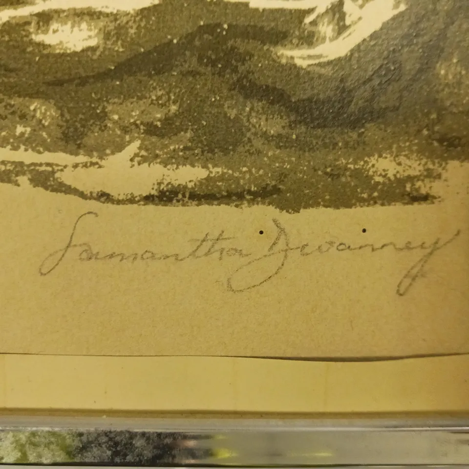 SAMANTHA 'DEVANNEY SIGNED, FRAMED, AND DATED ART PRINT