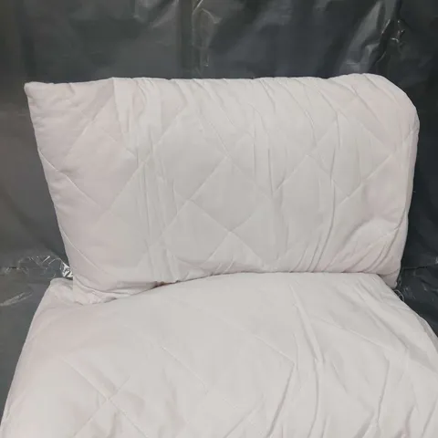 ARLINENS PAIR OF PILLOWS IN WHITE