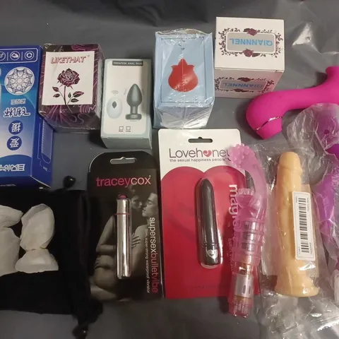 LOT OF 14 ASSORTED SEXUAL PLEASURE ITEMS TO INCLUDE VIBRATORS AND PLUGS