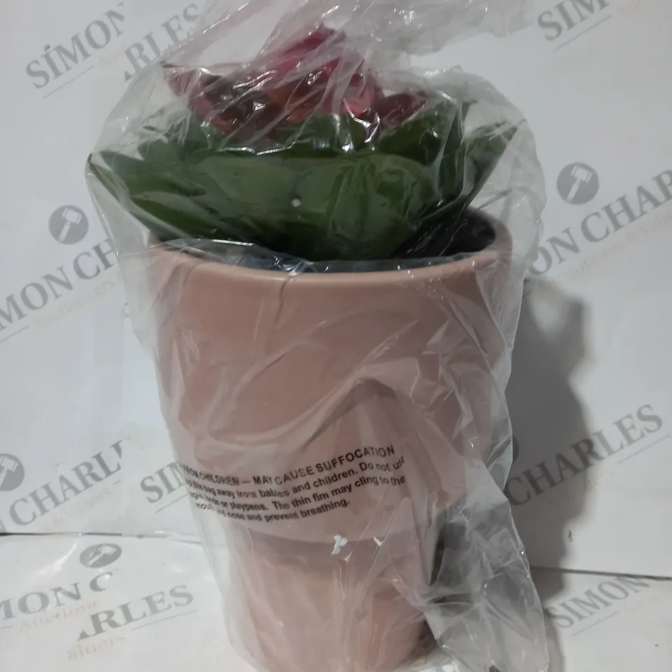 BOXED BUNDLEBERRY BY AMANDA HOLDEN STANDING PLANTER WITH FAUX SUCCULENT