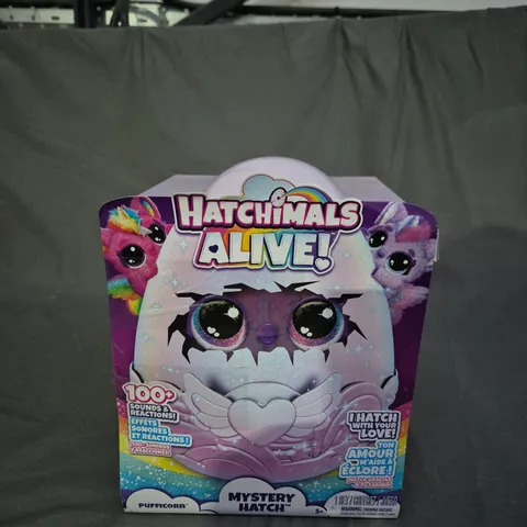 HATCHIMALS ALIVE! MYSTERY HATCH