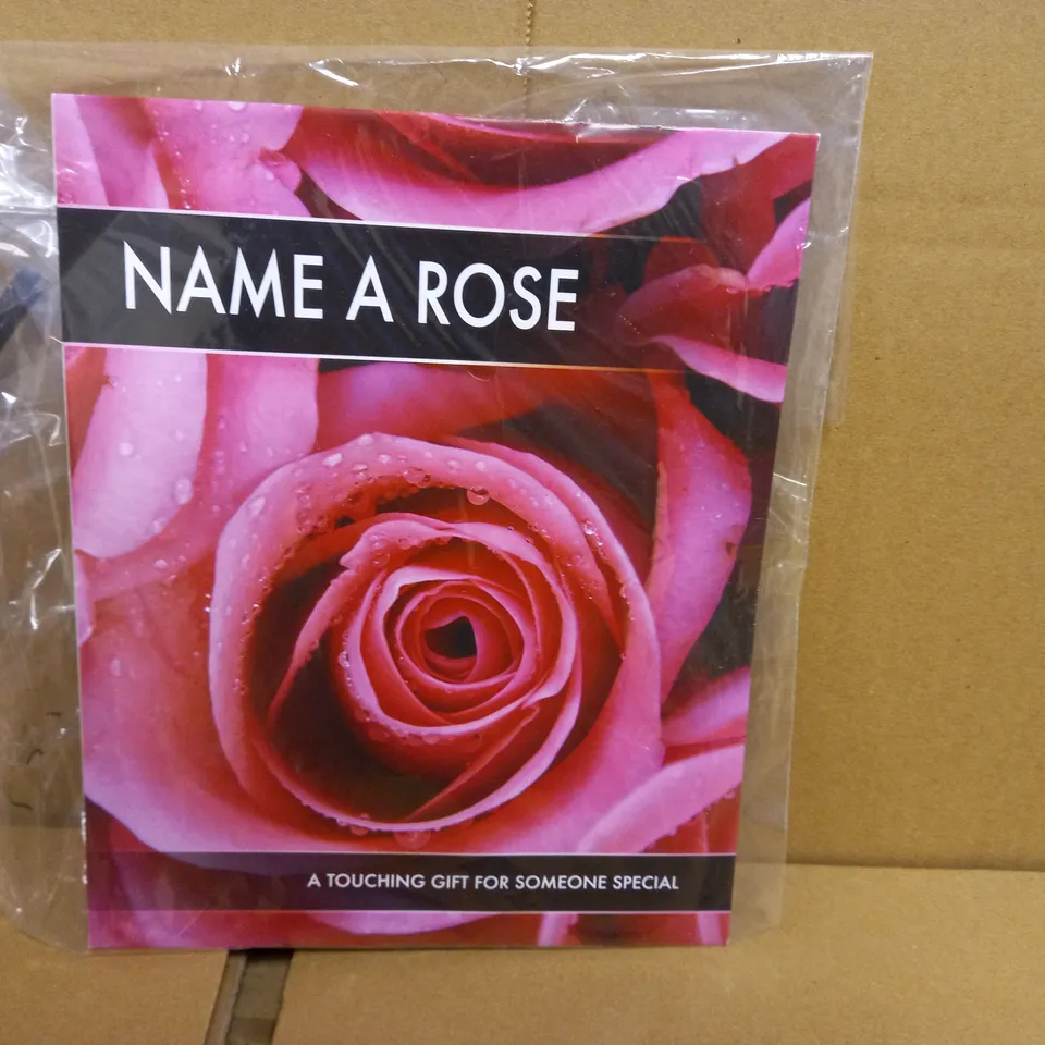LOT OF 10 NAME A ROSE 