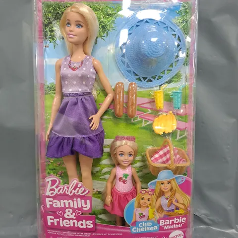 BARBIE FAMILY & FRIENDS DOLL