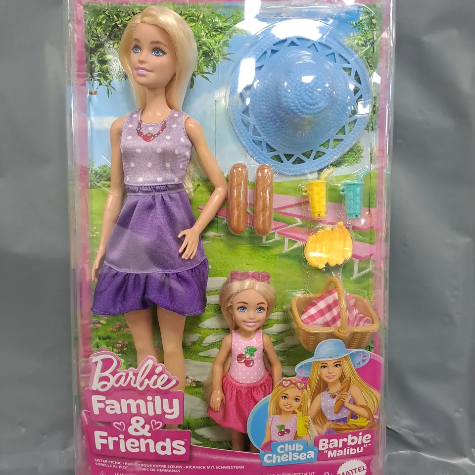 BARBIE FAMILY & FRIENDS DOLL