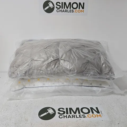 SET OF 2 PILLOWS