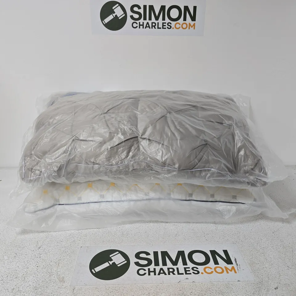 SET OF 2 PILLOWS