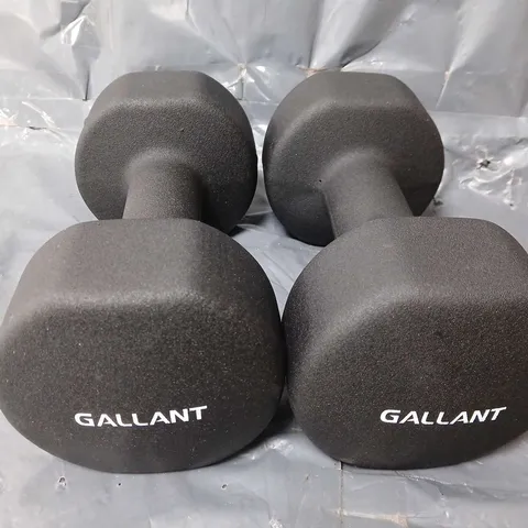 PAIR OF GALLANT 10kg DUMBBELL WEIGHTS - COLLECTION ONLY