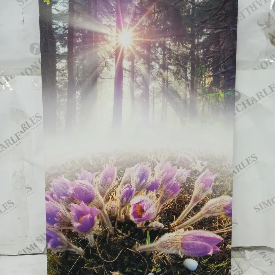 BOXED PIXXPRINT BLOOMING LILAC FLOWERS IN FOREST GRAPHIC ART PRINT ON CANVAS 40X60CM
