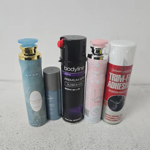 APPROXIMATELY 13 ASSORTED AEROSOLS TO INCLUDE TRIM-FIX ADHESIVE, BODYLINE PREMIUM SPRAY GLOSS BLACK, LITE BLU BODY SPRAY, ETC - COLLECTION ONLY