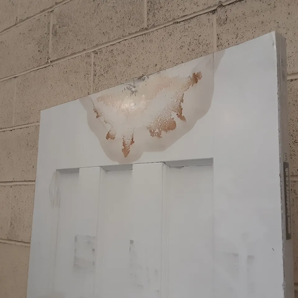 LPD DOORS DX 30'S WHITE PRIMED INTERNAL DOOR APPROXIMATELY 826X2040