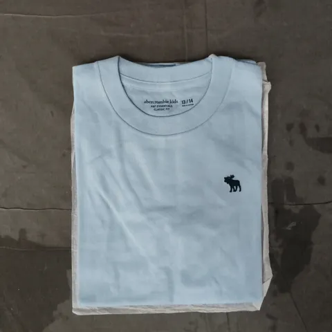 ABERCROMBIE KIDS CLASSIC FIT T-SHIRT IN LIGHT BLUE SIZE 13/14 YEARS