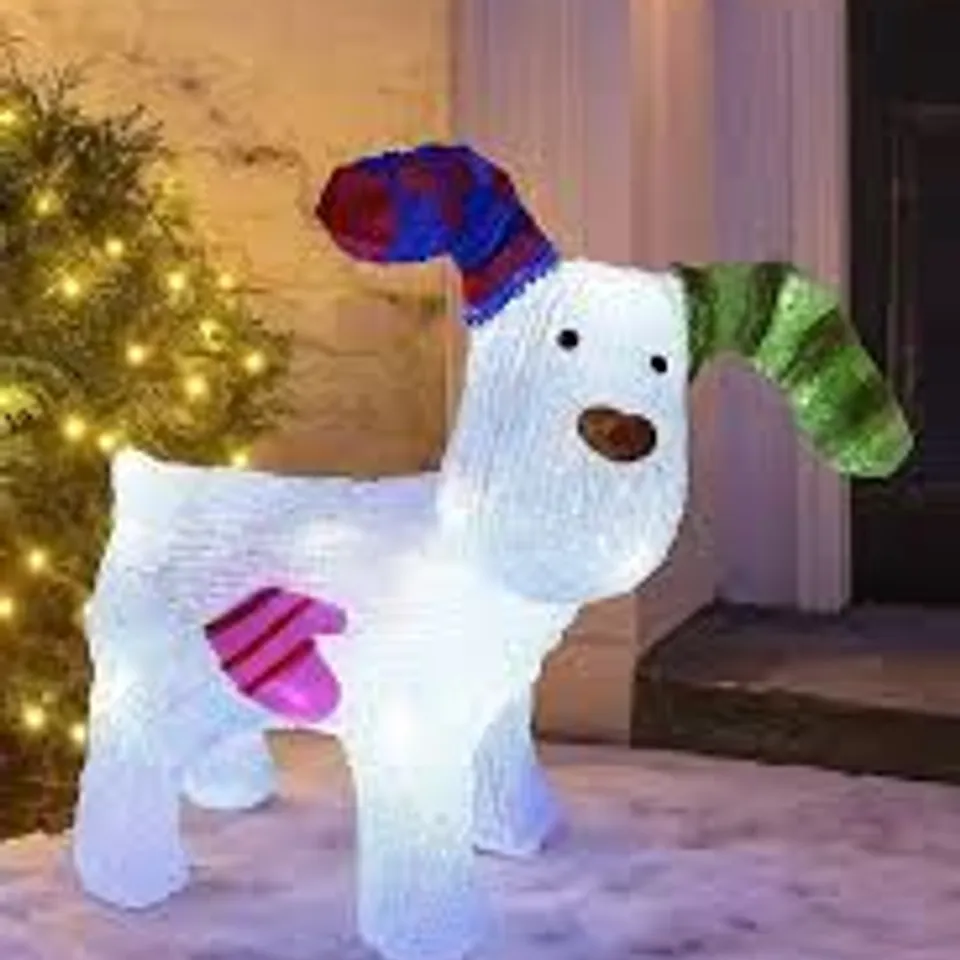 BOXED NEO DOG ACRYLIC CHRISTMAS LIGHT 30 COOL WHITE LED CHRISTMAS LIGHT