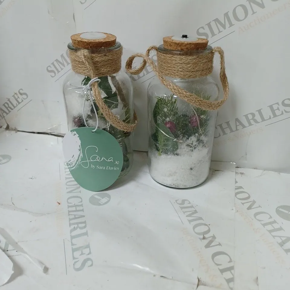 SARAH DAVIES SET OF 2 PRE LIT FOLIAGE GLASS JARS