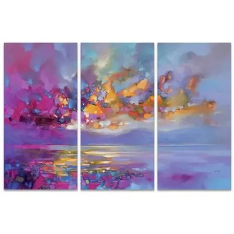 BOXED SCOTT NAISMITH 3 PIECE PRINT ON CANVAS (1 BOX)