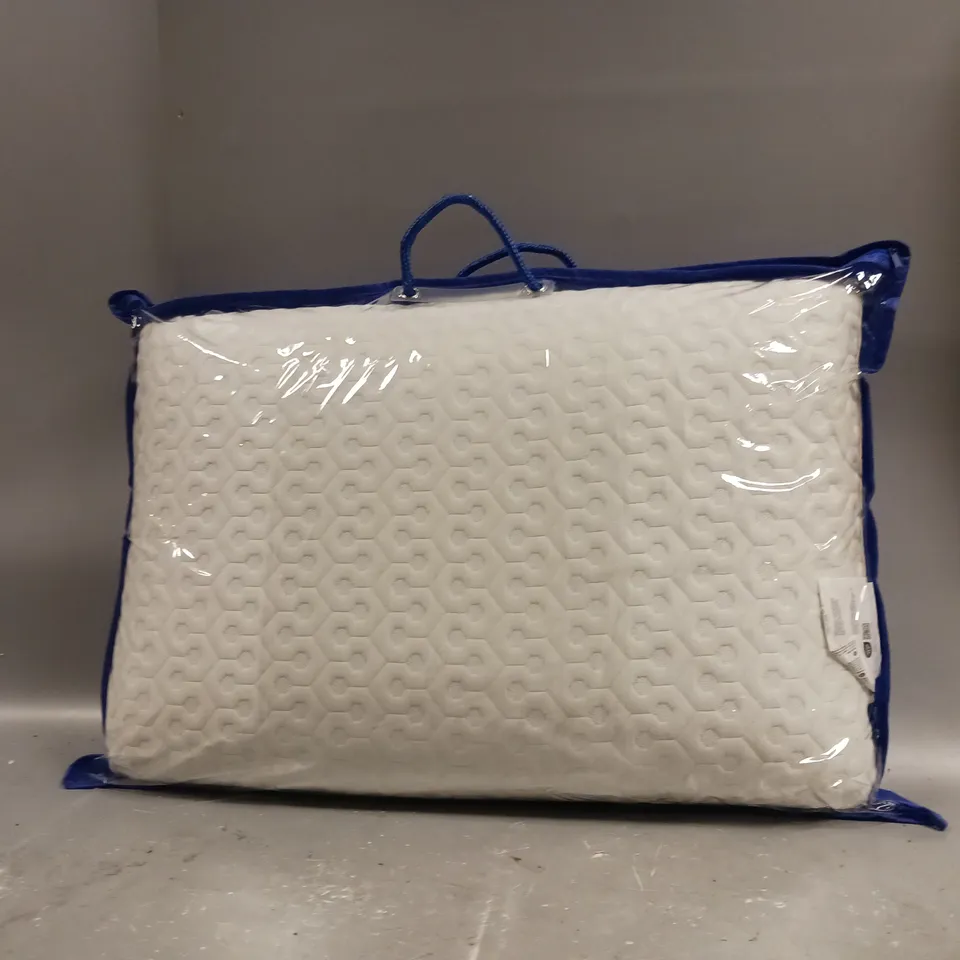 PLAIN WHITE PILLOW WOTH BLUE CASE COVER