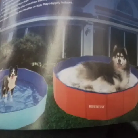 BOXED PET/DOG PADDLING POOL