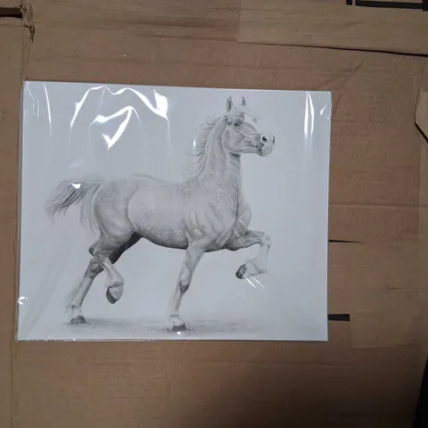 ART BY RHIA - HAND-DRAWN EQUINE PORTRAIT OF DANAWAY ROSSI, GRAPHITE ON STRATHMORE BRISTOL VELLUM, 10X12 INCHES