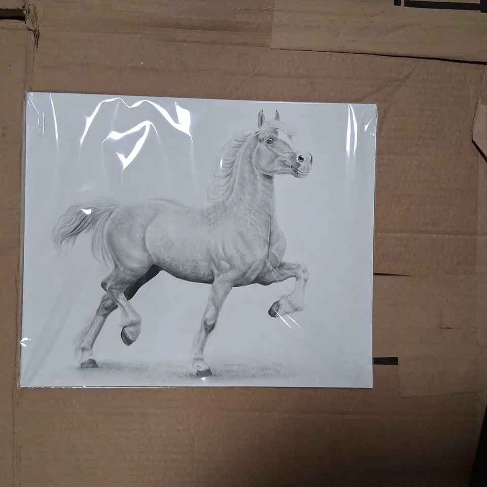 ART BY RHIA - HAND-DRAWN EQUINE PORTRAIT OF DANAWAY ROSSI, GRAPHITE ON STRATHMORE BRISTOL VELLUM, 10X12 INCHES