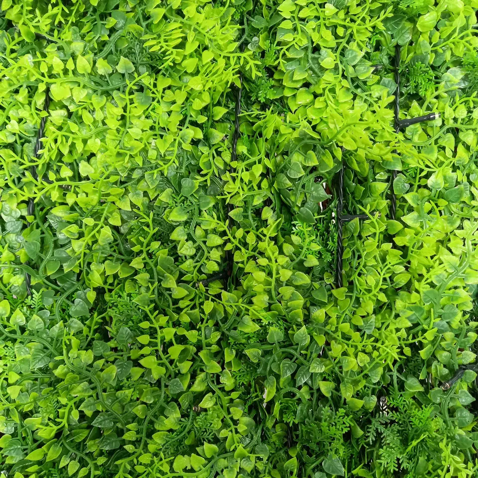 LIGHT UP LIVE WALL 100X200CM - COLLECTION ONLY