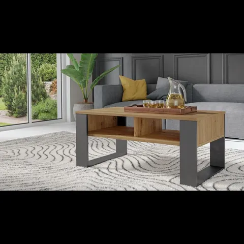 BOXED JULYSSA SLED COFFEE TABLE WITH STORAGE