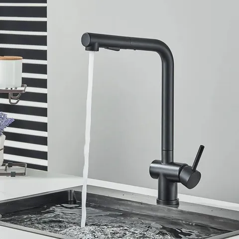 Raposo Pull Out Single Lever Monobloc aTap