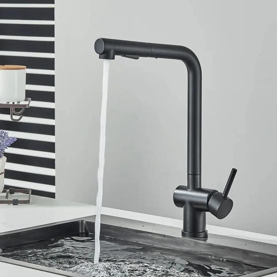 Raposo Pull Out Single Lever Monobloc aTap