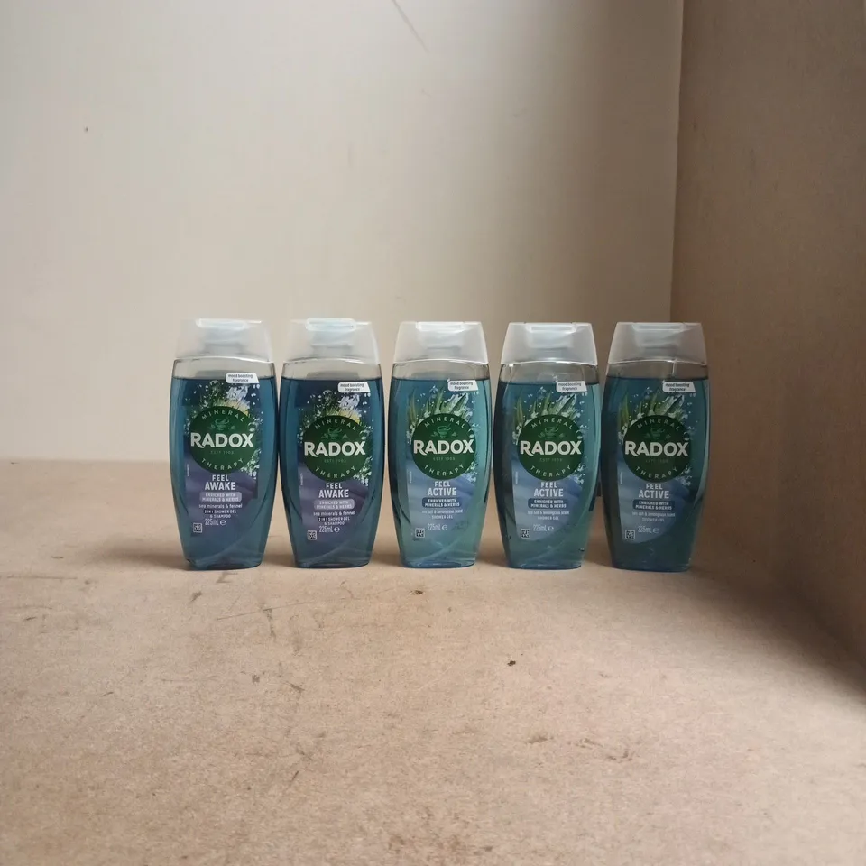 RADOX MINERAL THERAPY FEEL AWAKE SHOWER GEL 225ML – MOOD BOOSTING FRAGRANCE (SET OF 5 BOTTLES)