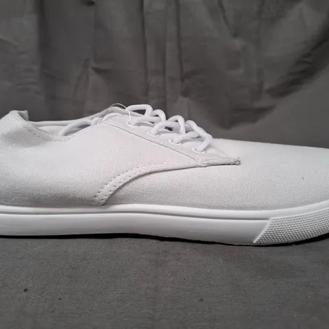 BOX OF APPROXIMATELY 5 PAIRS OF DESIGNER CANVAS SHOES IN WHITE IN VARIOUS SIZES
