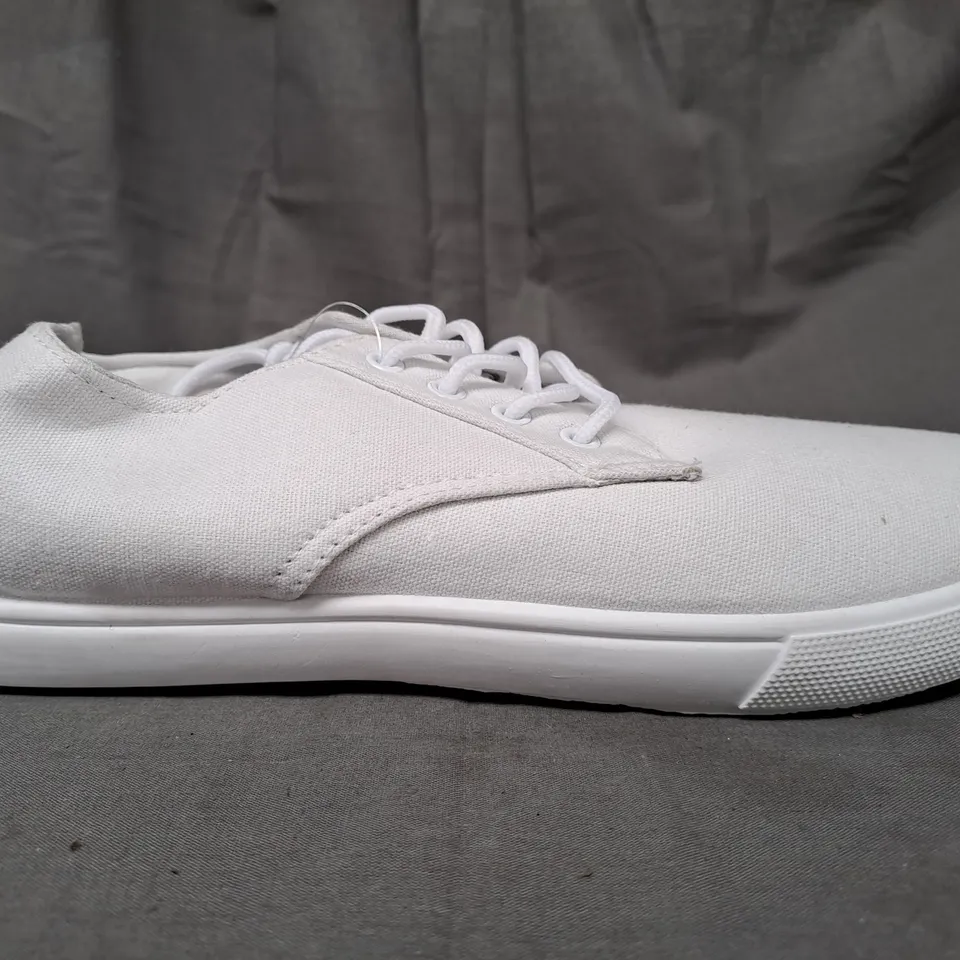 BOX OF APPROXIMATELY 5 PAIRS OF DESIGNER CANVAS SHOES IN WHITE IN VARIOUS SIZES