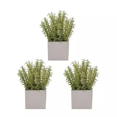 K BY KELLY HOPPEN SET OF 3 FAUX PLANTS
