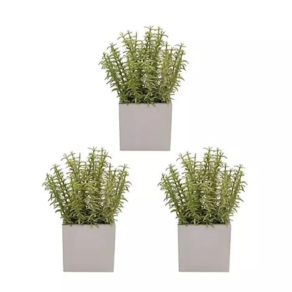 K BY KELLY HOPPEN SET OF 3 FAUX PLANTS