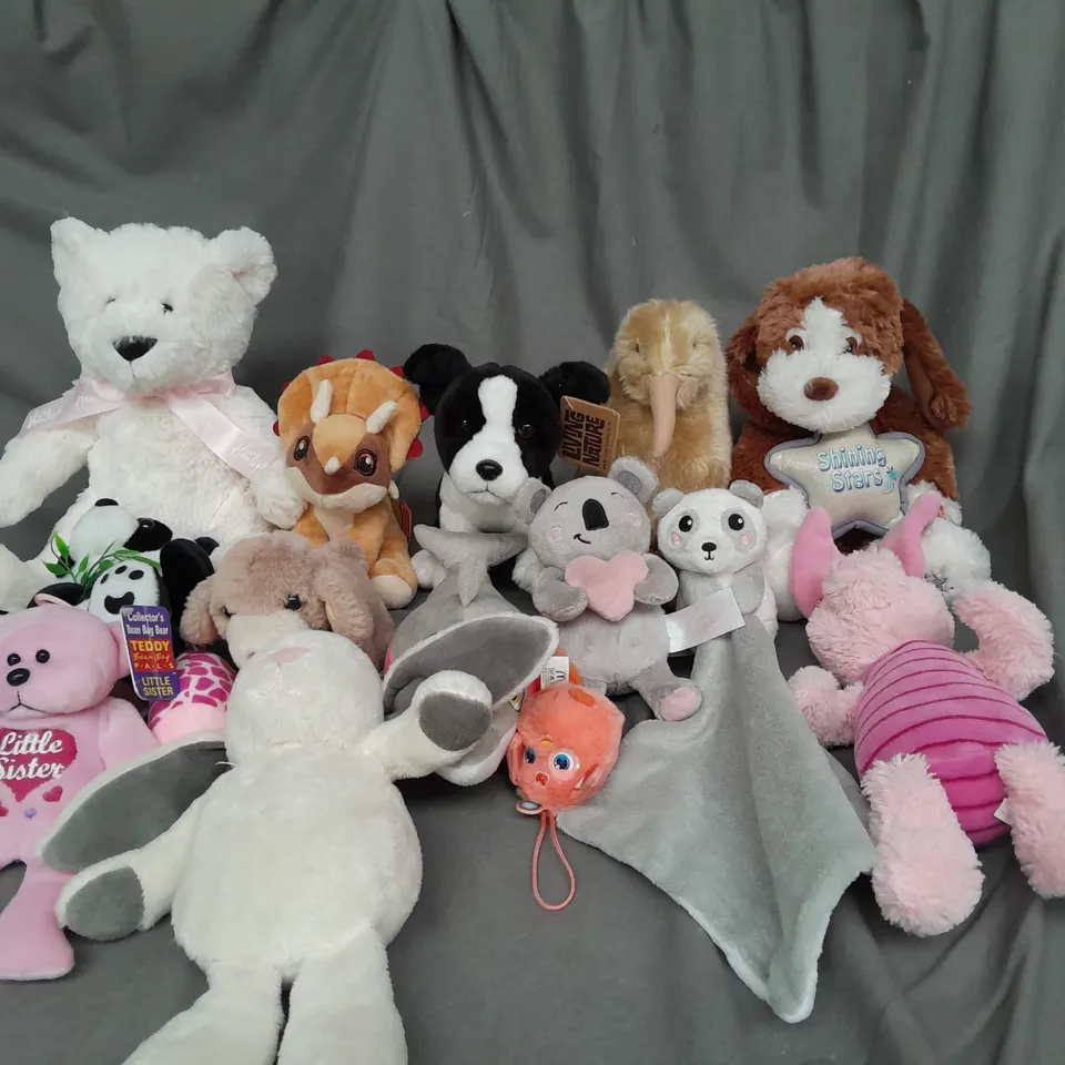 BOX OF ASSORTED PLUSH SOFT TEDDIES