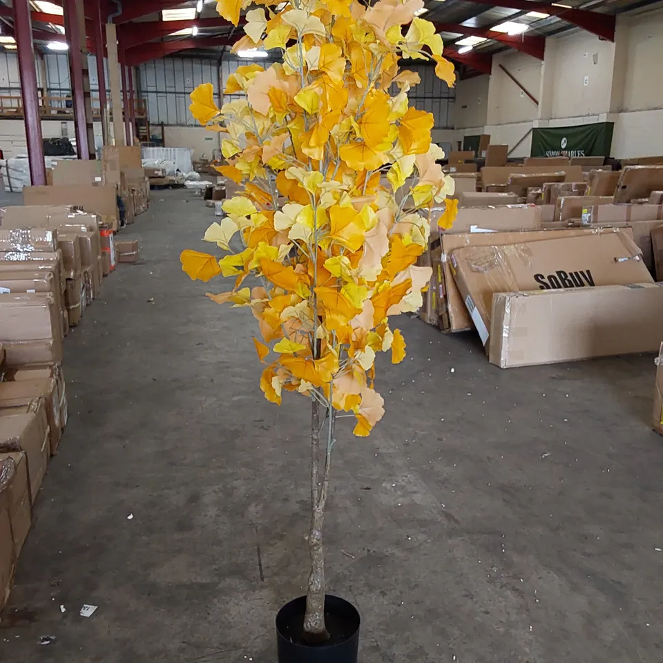 BOXED LARGE ARTIFICIAL GINKGO TREE 150CM