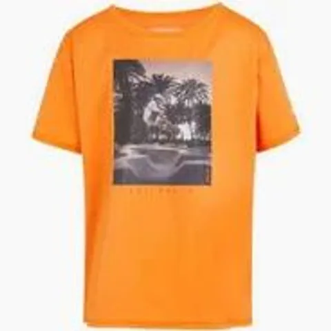 BRAND NEW REGATTA CHILDRENS ALVARDO VIII SCENERY T-SHIRT IN PERSIMMON - 3/4 YEARS