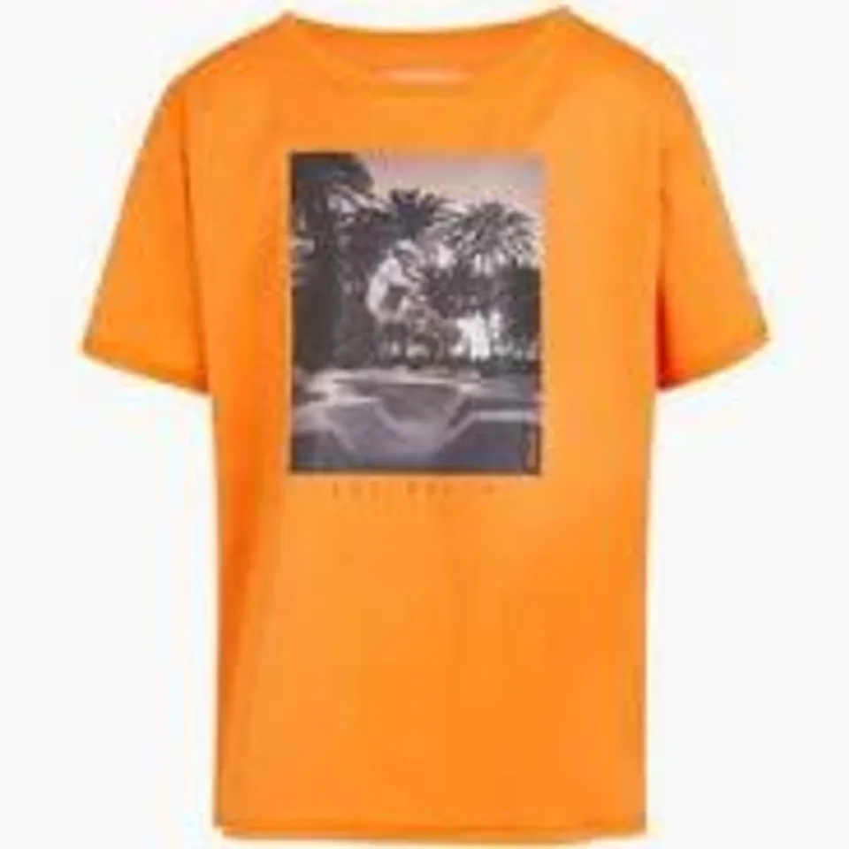 BRAND NEW REGATTA CHILDRENS ALVARDO VIII SCENERY T-SHIRT IN PERSIMMON - 3/4 YEARS