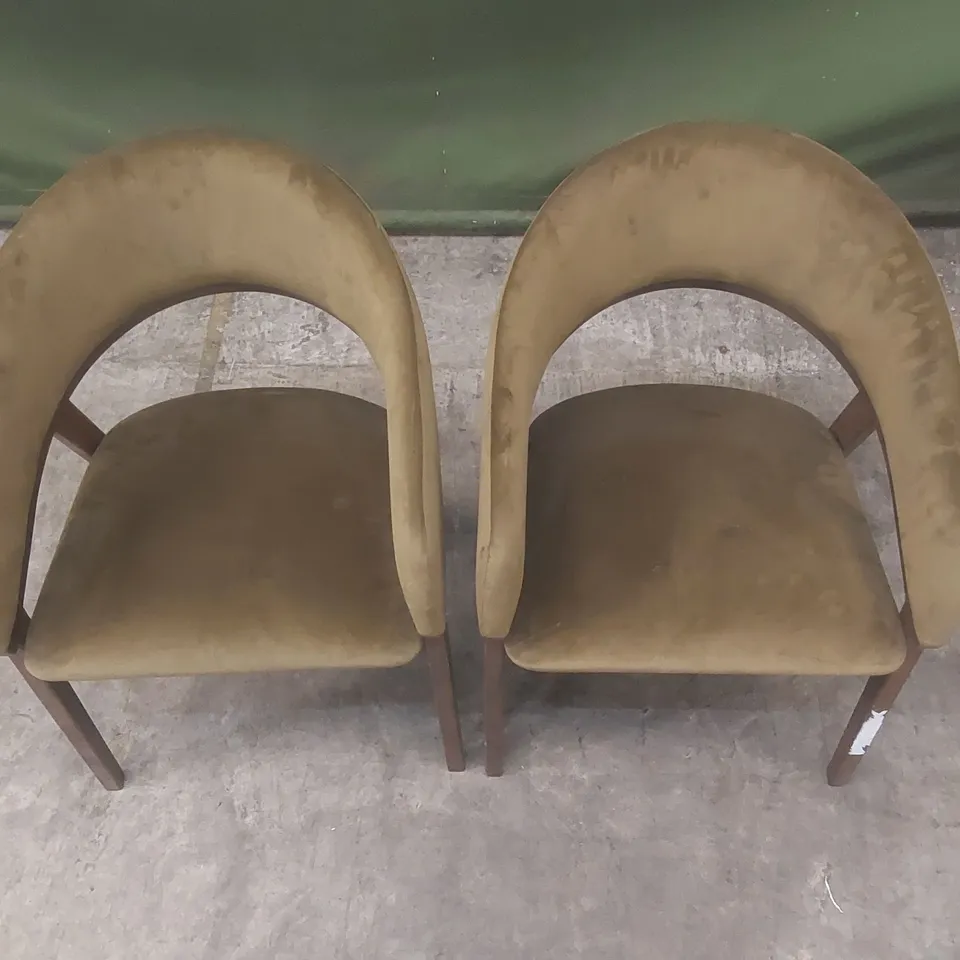 SET OF 2 WALNUT & OLIVE GREEN UPHOLSTERED CURVED DINING CHAIRS