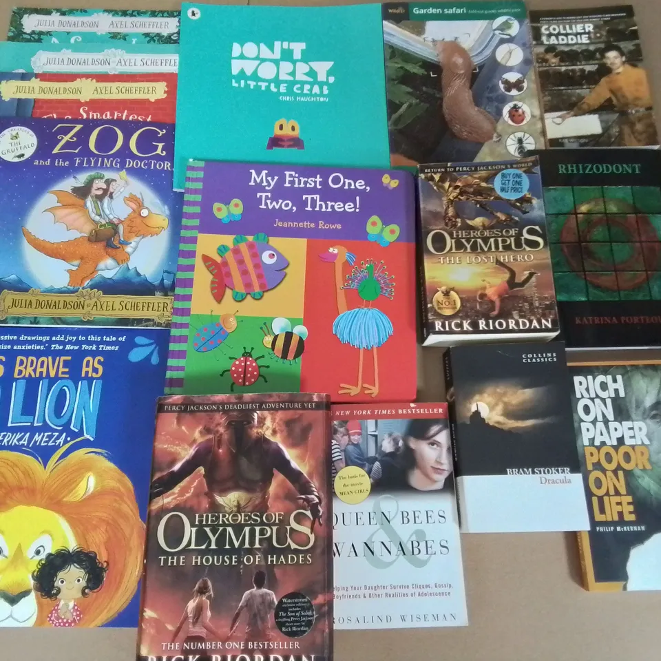 LARGE QUANTITY OF ASSORTED BOOKS TO INCLUDE DVSA DRIVING GUIDE, POLITICS IN IRELAND AND SHE AND HER CAT