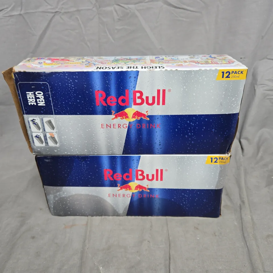 LOT OF 2 250ML 12-PACKS OF REDBULL