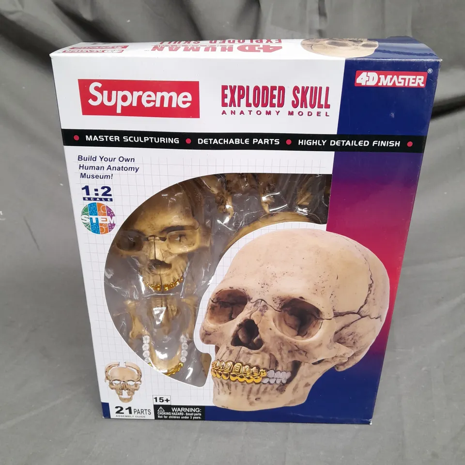SUPREME EXPLODED SKULL ANATOMY MODEL - 1:2 SCALE