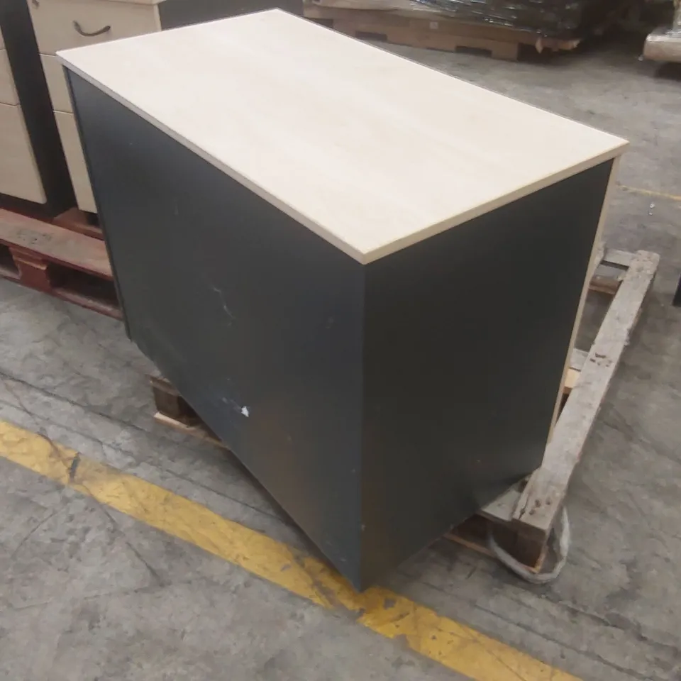 2-DOOR OFFICE CABINET