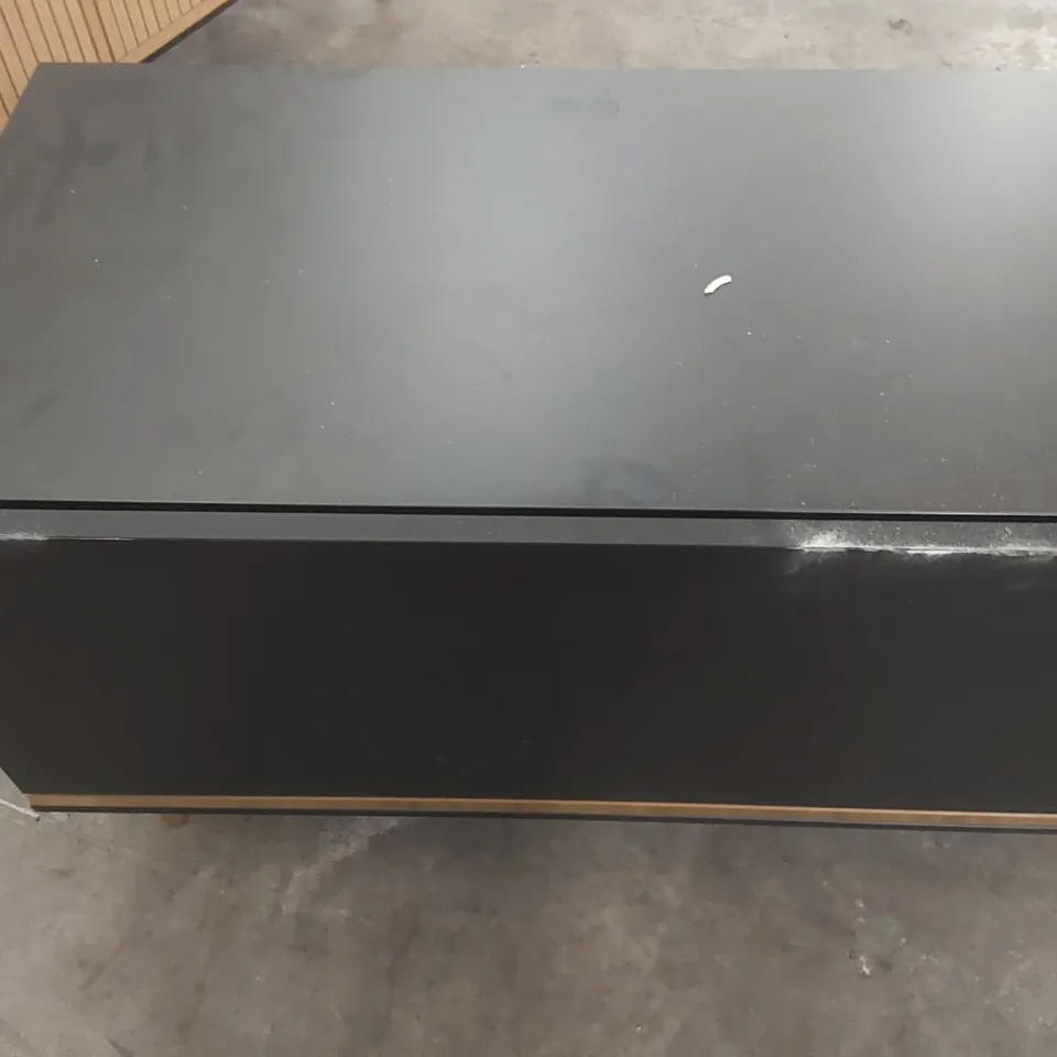 DESIGNER 2 DOOR TV CABINET