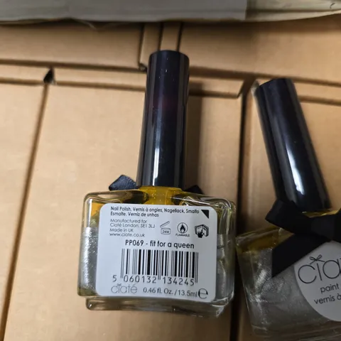 CIATÈ PAINT POTS NAIL POLISH – FIT FOR A QUEEN (PP069) – 0.46 FL OZ / 13.5 ML, BULK BOTTLE PACK