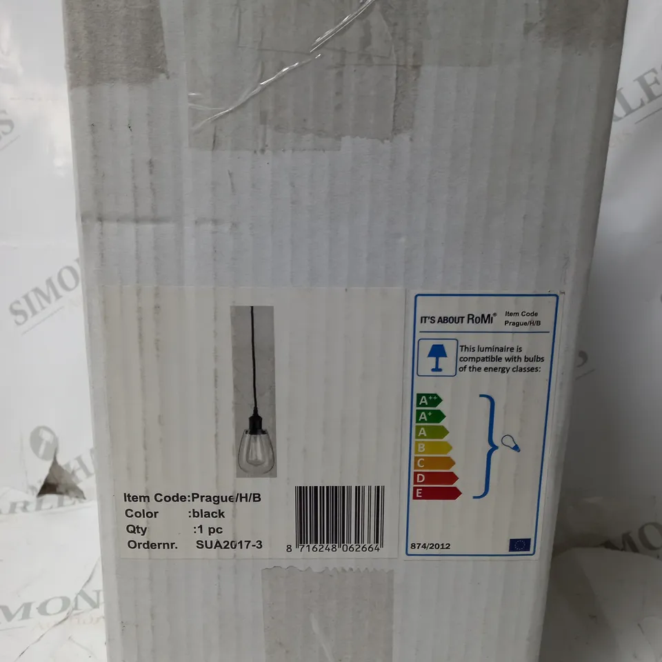 1 LIGHT MINI PENDANT IN BLACK 