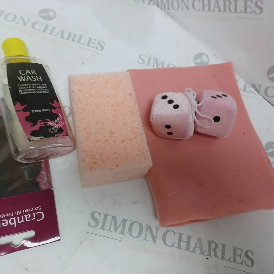 5PC CAR VALETING KIT