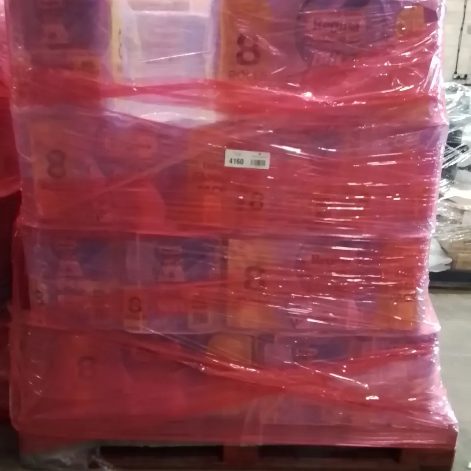 PALLET OF REGINA BLITZ FAMILY PACK KITCHEN ROLLS APPROXIMATELY 31 PACKS