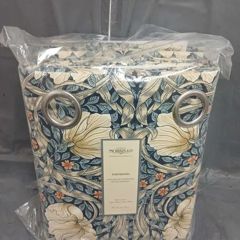 MORRIS&CO PIMPERNEL INTERLINED EYELET CURTAINS