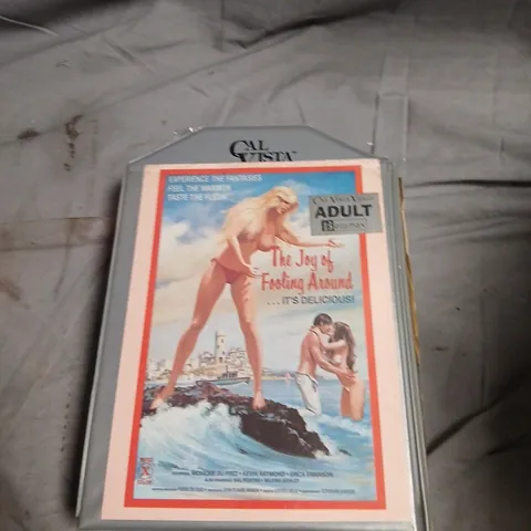 CAL VISTA VIDEO – THE JOY OF FOOLING AROUND (ADULT BETAMAX TAPE)