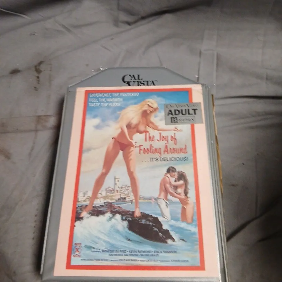 CAL VISTA VIDEO – THE JOY OF FOOLING AROUND (ADULT BETAMAX TAPE)