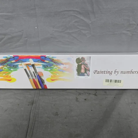 BOXED PAINTING BY NUMBERS ART SET